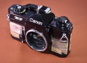 【リメイクカメラ】Canon EF【モルト交換済】