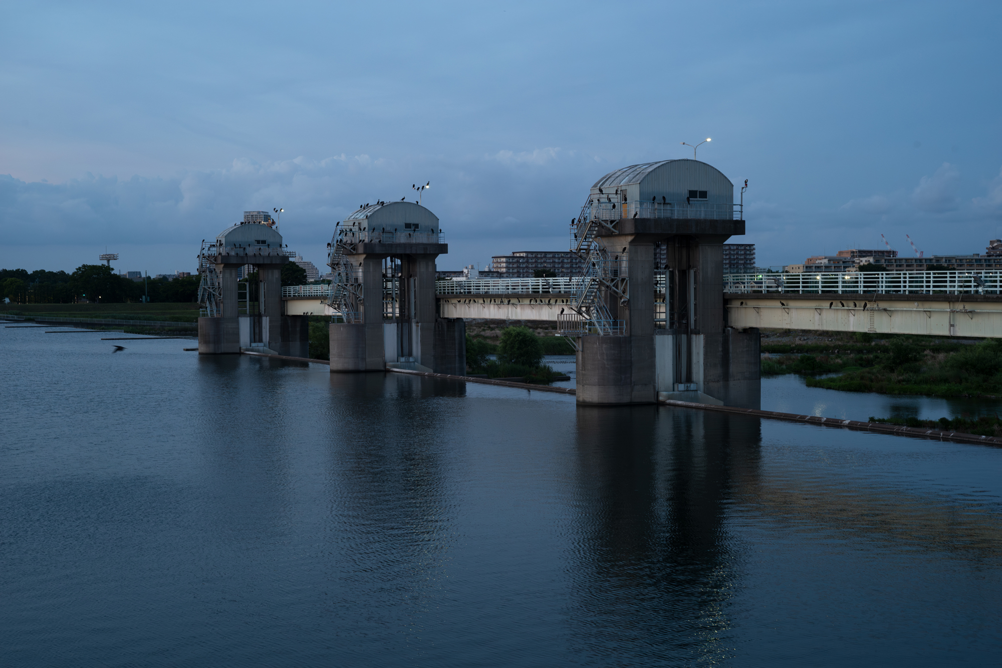 南雲暁彦のThe Lensgraphy:Vol.27 FUJINON L 5cm F2.8 「東京 南雲暁彦のThe Lensgraphy:Vol.27 FUJINON L 5cm F2.8 「東京