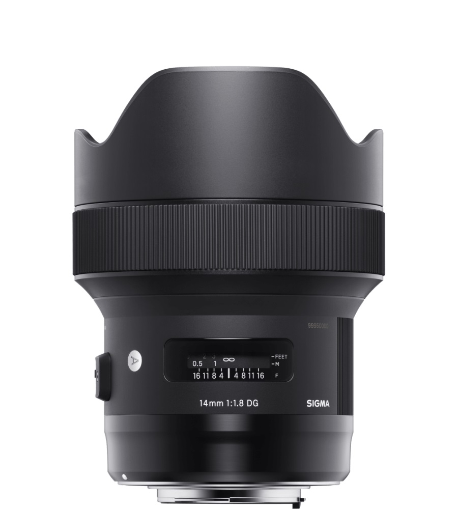 セルフポートレイト セルフポートレイト Self-Portrait