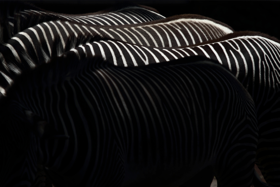 生写真（お声かけてください！） 生田輝さんの1st写真集が8月31日(土)に発売決定！シャワーシーンも収録