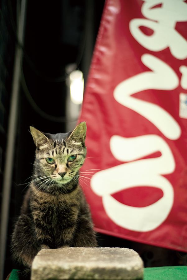 オールドレンズの奇跡：ニコンAi NIKKOR 50mm f/1.8S：上田晃司
