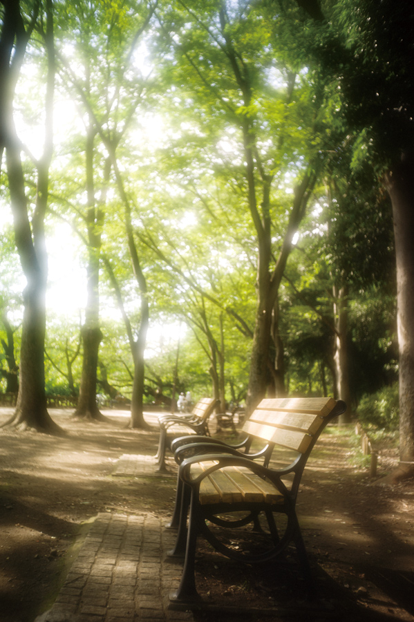 オールドレンズの奇跡:キヤノン Serenar 35mm F3.5(Sレンズ オールドレンズの奇跡:キヤノン Serenar 35mm F3.5(Sレンズ
