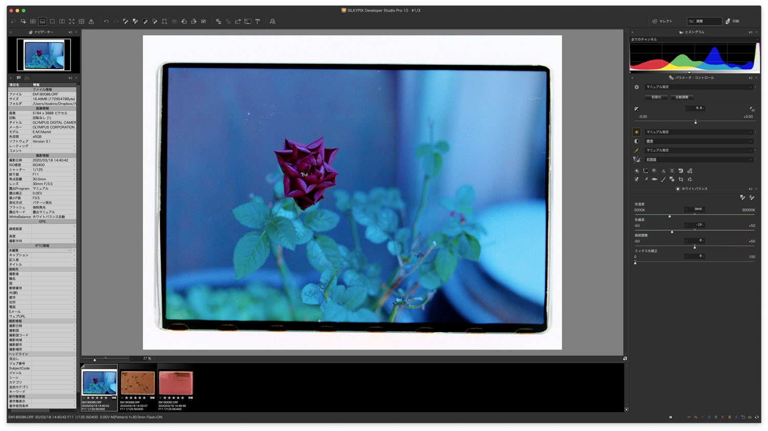 銀塩手帖 カラーネガフィルムをスキャンする簡単な方法 Silkypix Developer Studio Pro10編 Camera Fan編集部 カメラファン