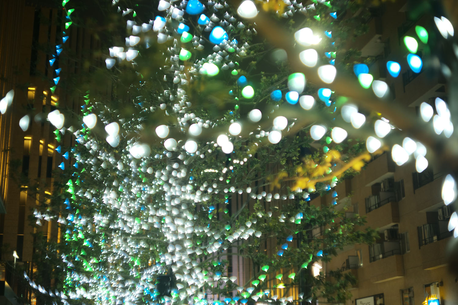 南雲暁彦のThe Lensgraphy:Vol.4 Ernst Leitz Summarit 5cm F1 南雲暁彦のThe Lensgraphy:Vol.4 Ernst Leitz Summarit 5cm F1