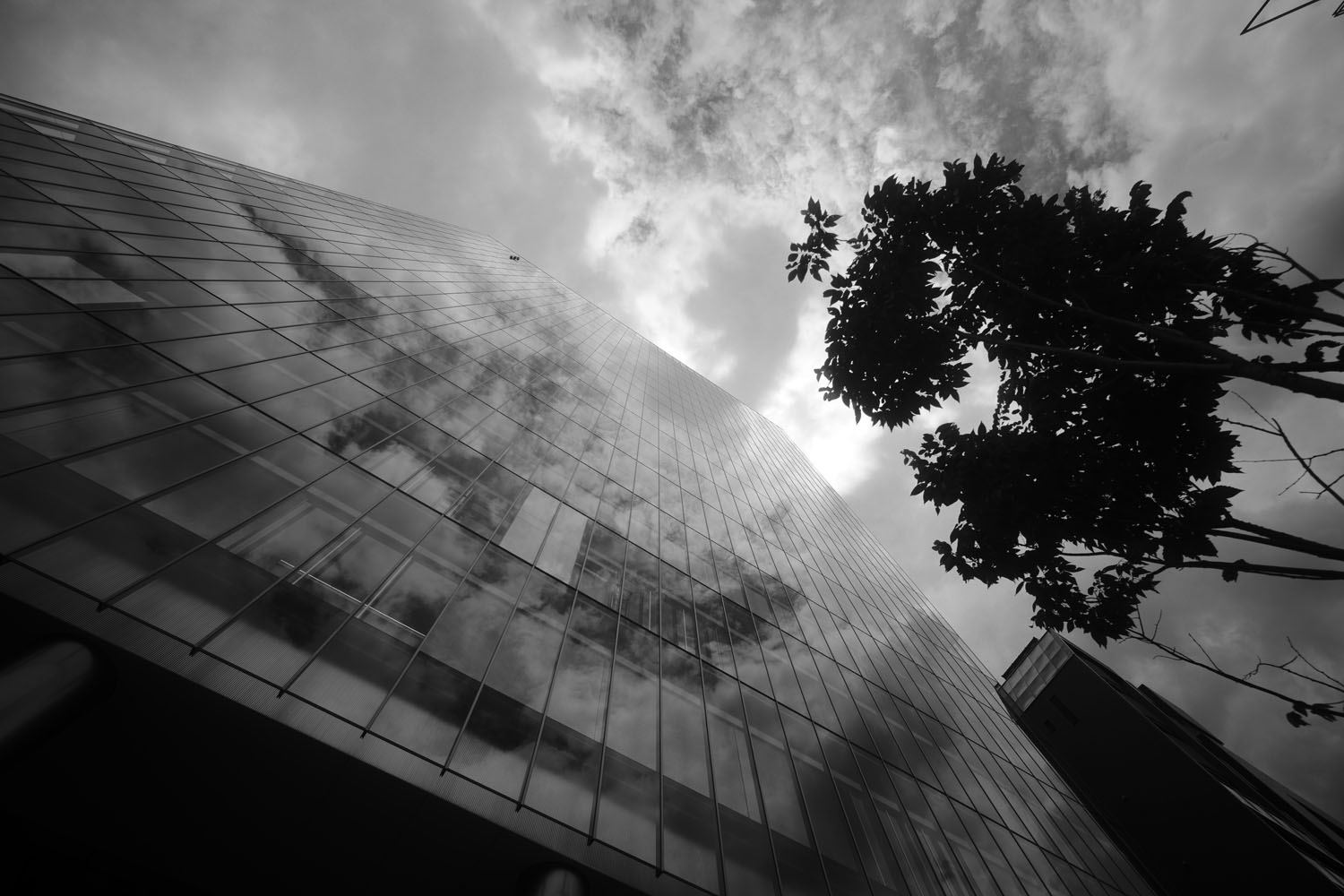 南雲暁彦のThe Lensgraphy:Vol.8 Voigtlander スーパーワイド 南雲暁彦のThe Lensgraphy:Vol.8 Voigtlander スーパーワイド