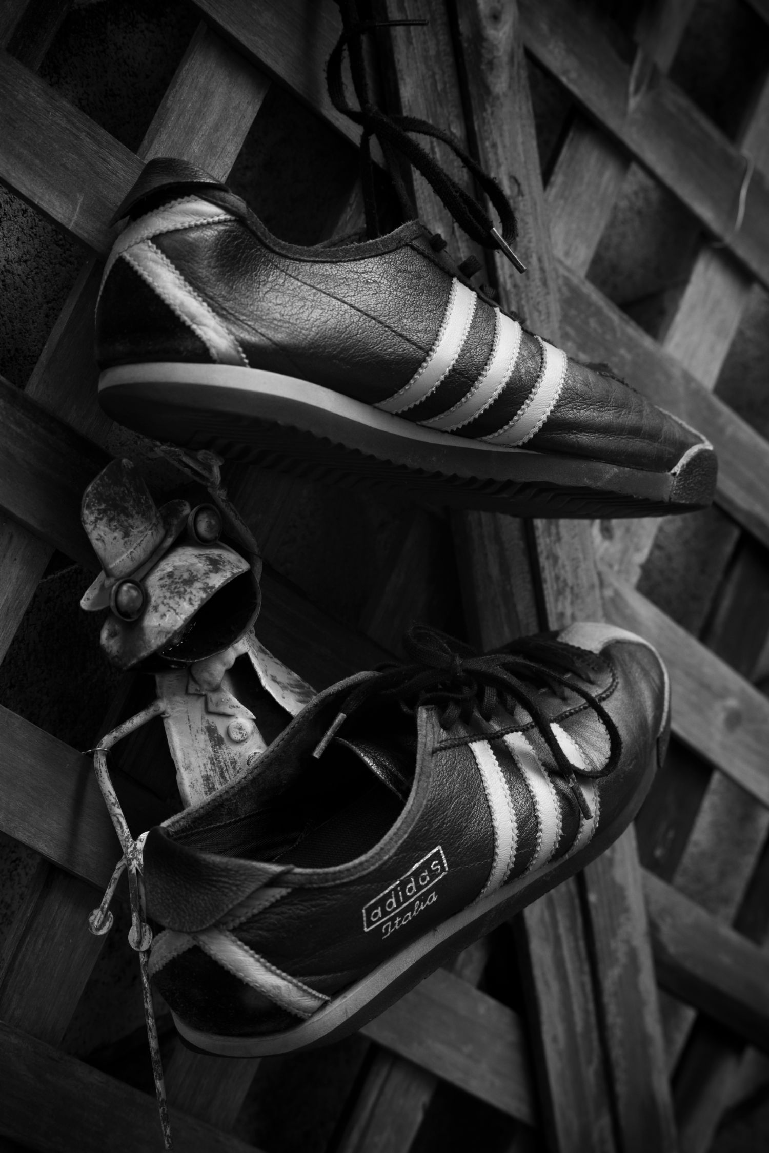 南雲暁彦のThe Lensgraphy:Vol.9 Leitz CANADA TELE-ELMARIT 南雲暁彦のThe Lensgraphy:Vol.9 Leitz CANADA TELE-ELMARIT