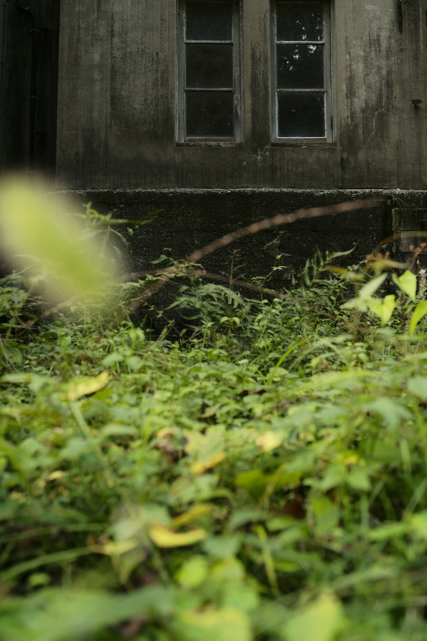 南雲暁彦のThe Lensgraphy:Vol.19 Konica UC-HEXANON 35mm F2 南雲暁彦のThe Lensgraphy:Vol.19 Konica UC-HEXANON 35mm F2