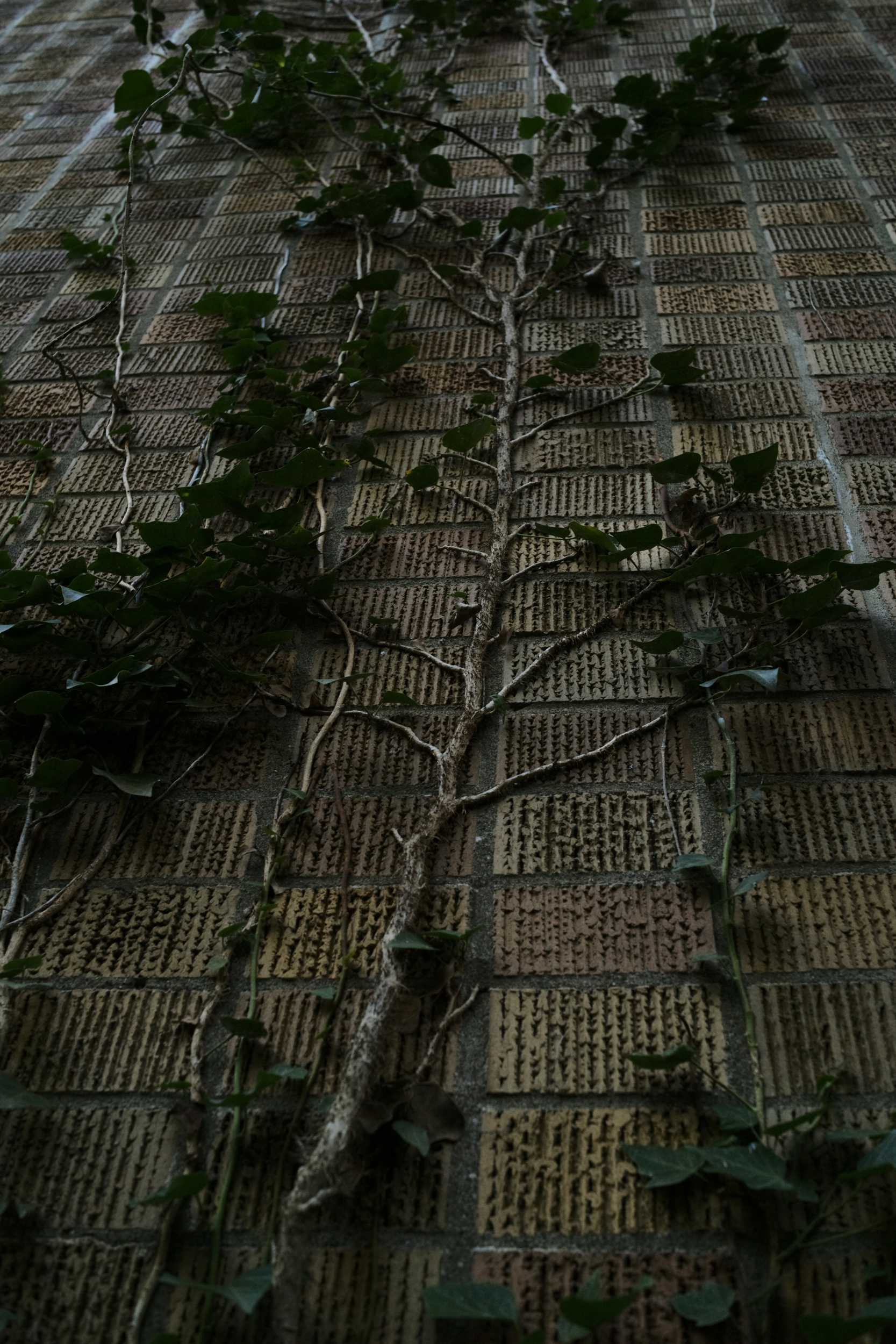 南雲暁彦のThe Lensgraphy:Vol.19 Konica UC-HEXANON 35mm F2 南雲暁彦のThe Lensgraphy:Vol.19 Konica UC-HEXANON 35mm F2