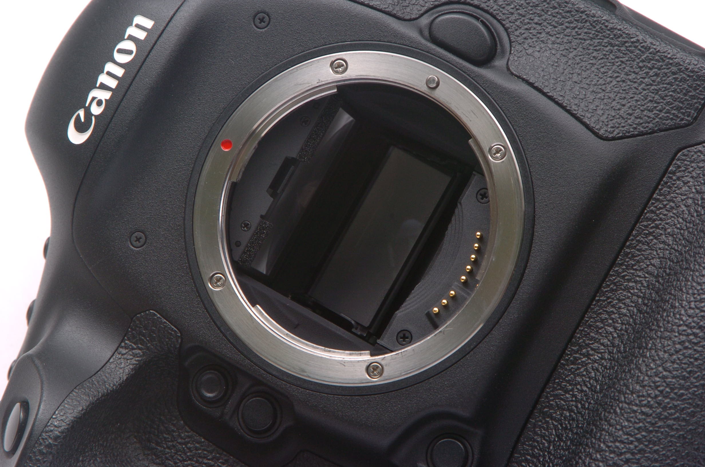 キヤノン EOS-1D X ボディ カメラの三和商会:カメラファン キヤノン EOS-1D X ボディ カメラの三和商会:カメラファン