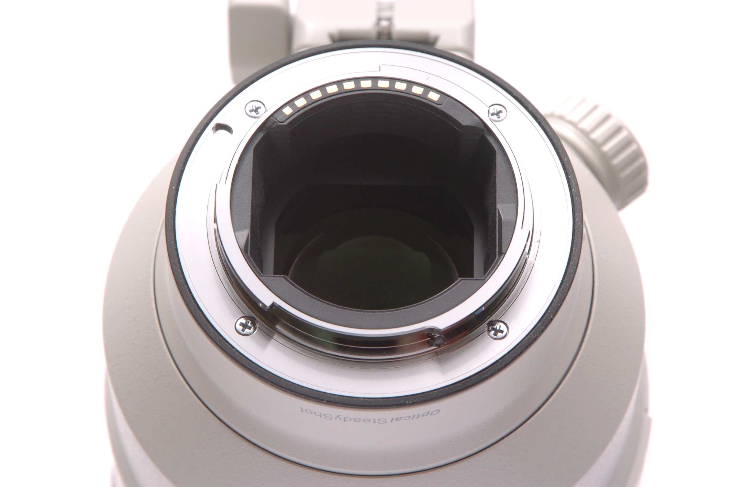FE 100-400mm F4.5-5.6 GM OSS SEL100400GM