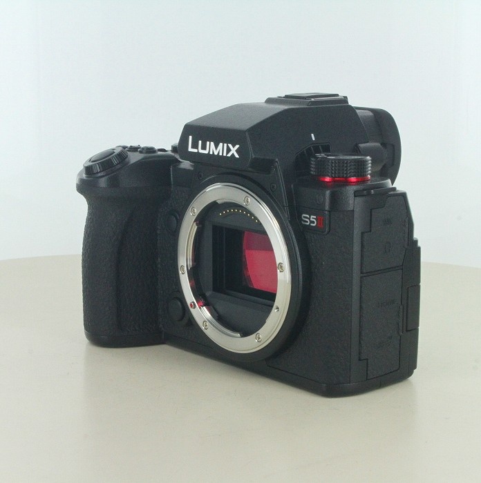 パナソニック LUMIX S5II (DC-S5M2)