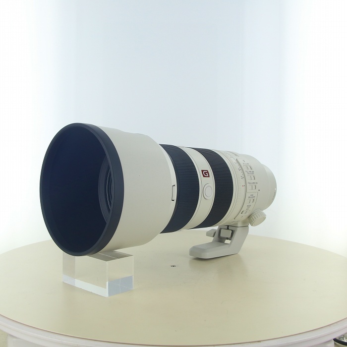 ソニー ソニー FE70-200/F2.8 GM OSS II
