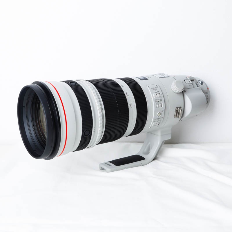 キヤノン EF200-400/4L IS USM EXTENDER 1.4X