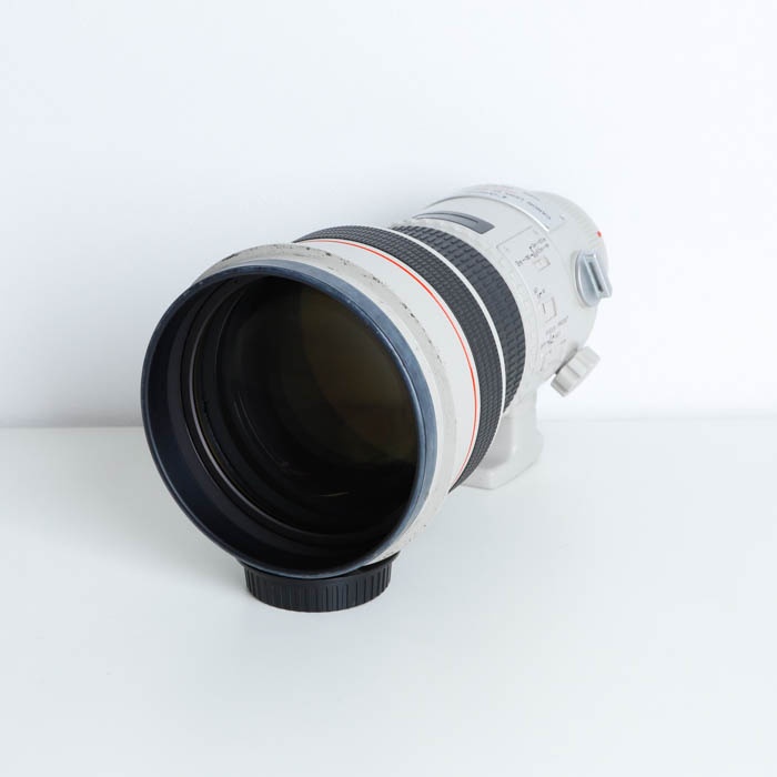 キヤノン EF300/F2.8L IS