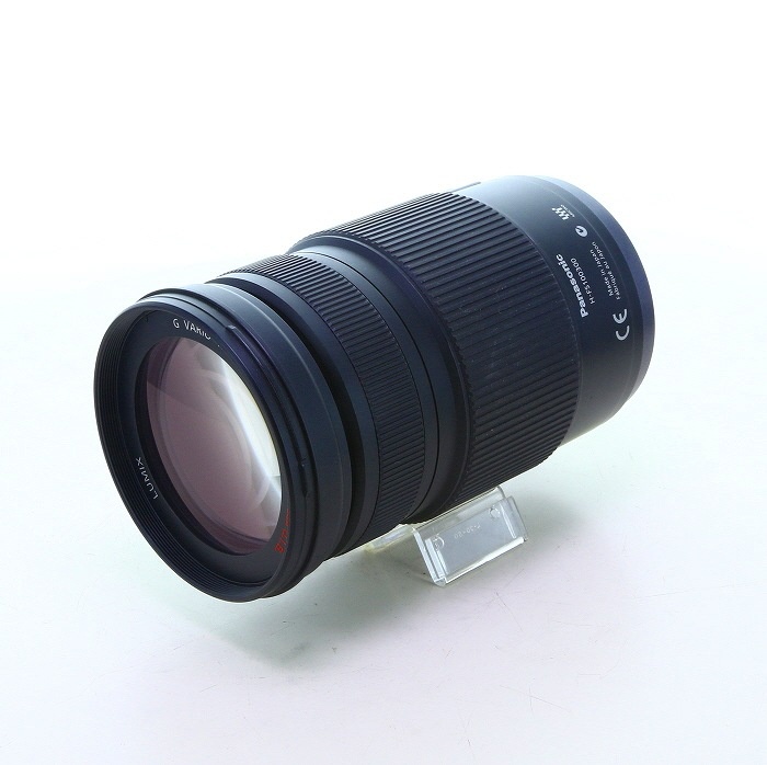 パナソニック LUMIX G VARIO 100-300/4.0-5.6 MEGA O.I.S. H-FS100300