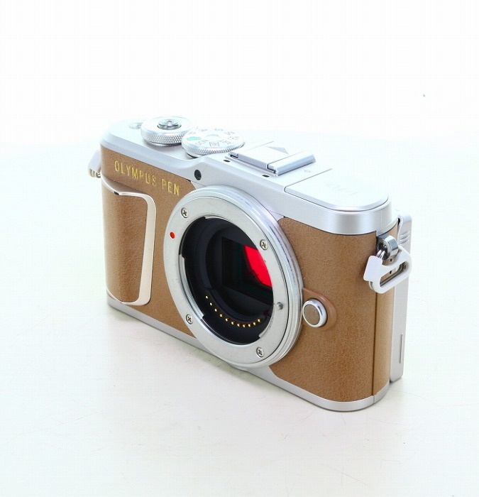 オリンパス E-PL9 ボデイ ブラウン