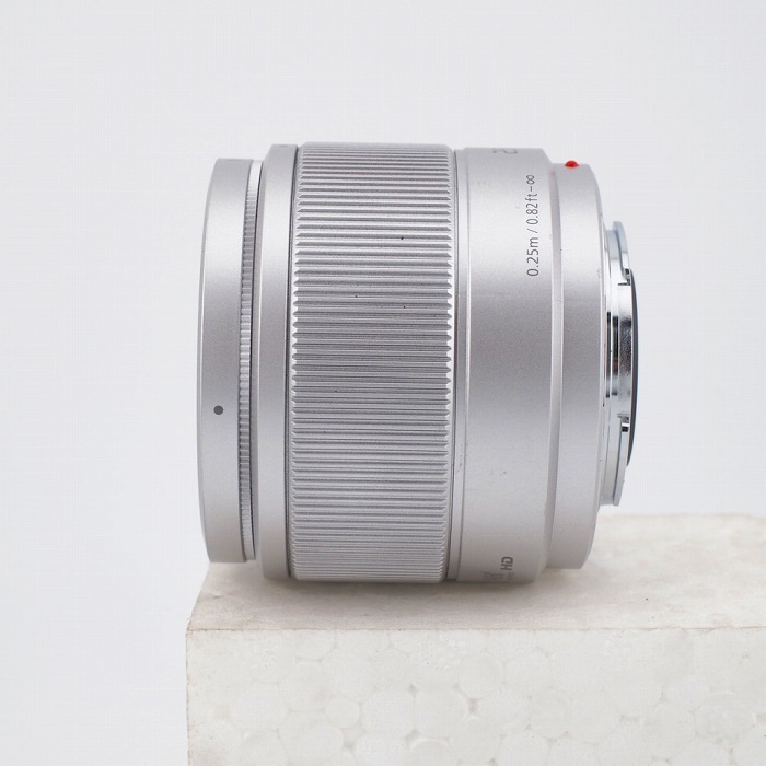 パナソニック G25/1.7 H-H025