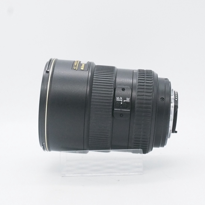ニコン AF-S DX 17-55/2.8G IF-ED