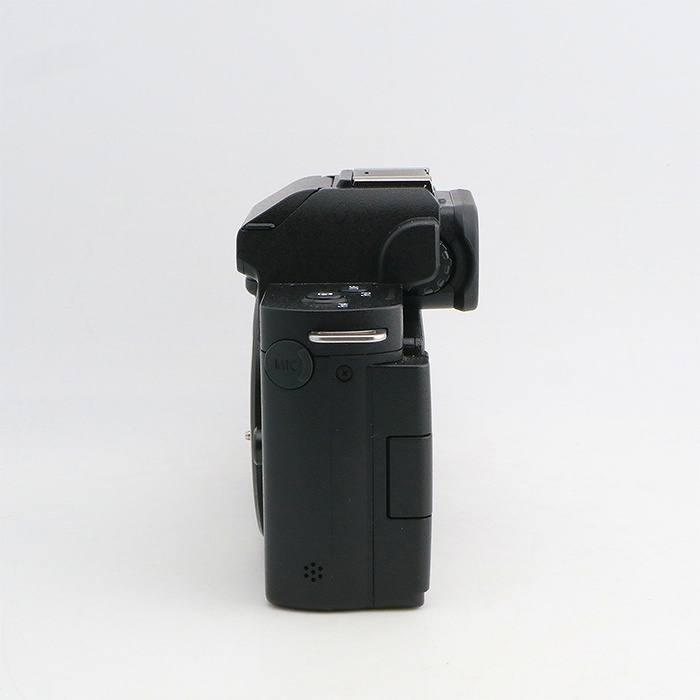 パナソニック DC-G100V