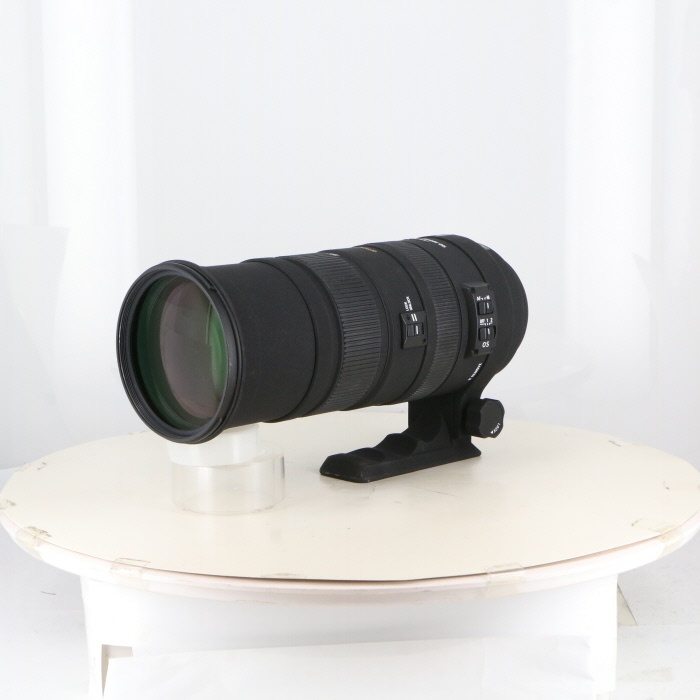 シグマ APO150-500/F5-6.3 DG OS HSM [ニコンFマウント用]