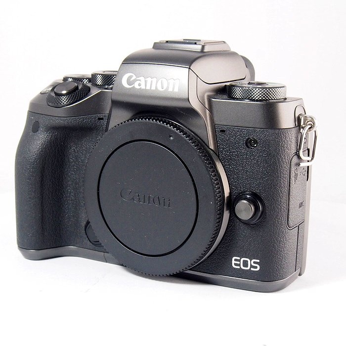 キヤノン EOS M5