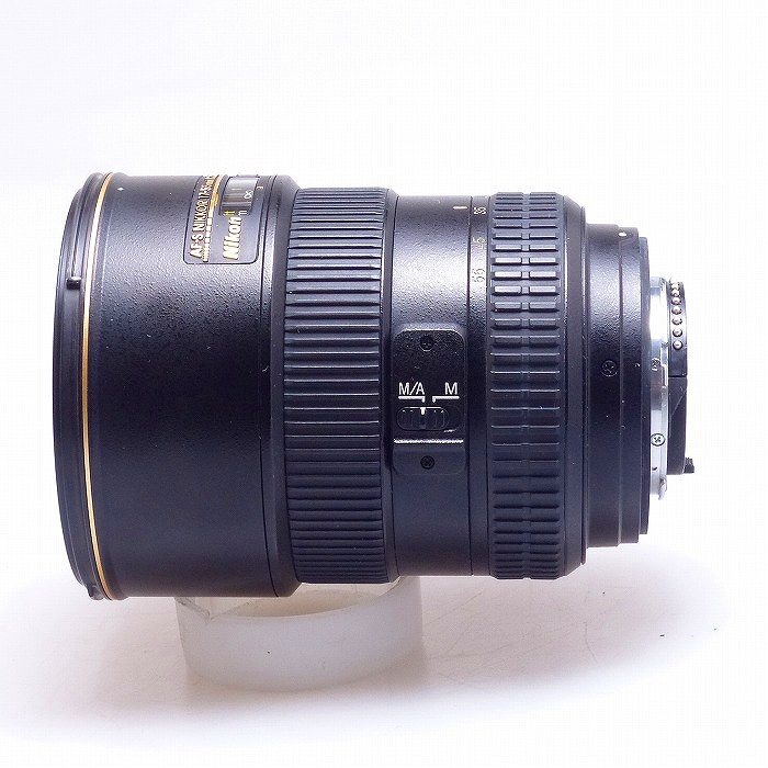 ニコン AF-S DX 17-55/2.8G IF-ED