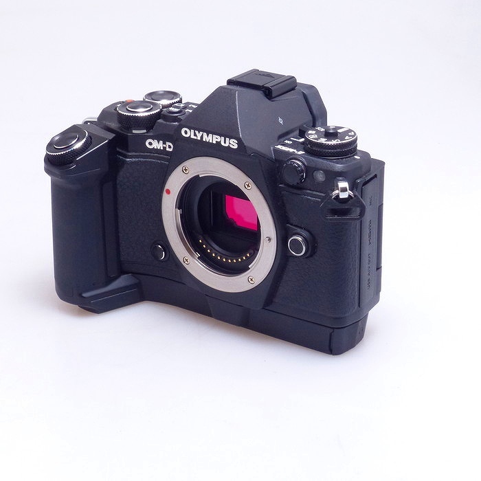 オリンパス OM-D E-M5 MarkII + HLD-8G