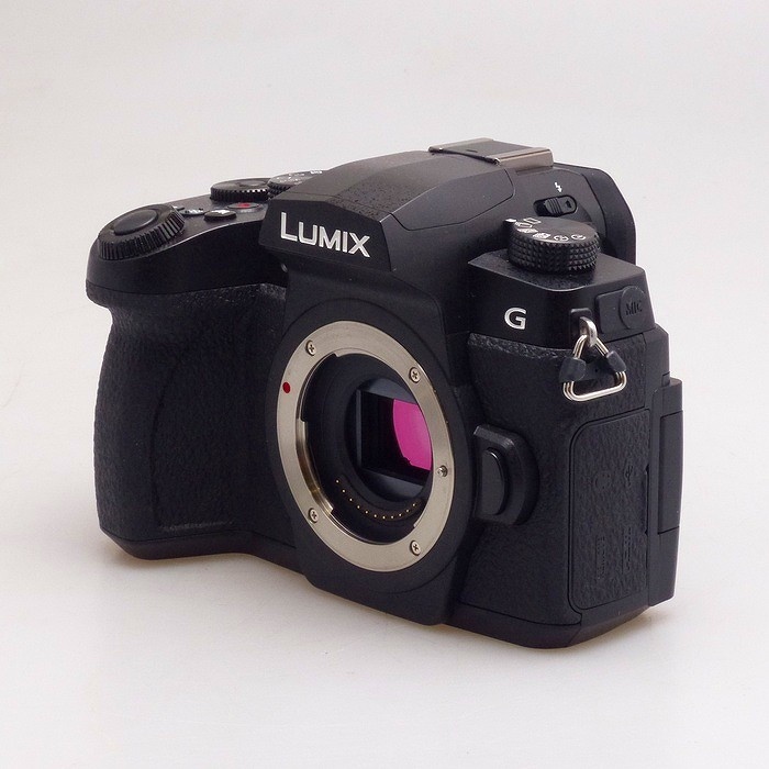 パナソニック G99 DC-G99D-K