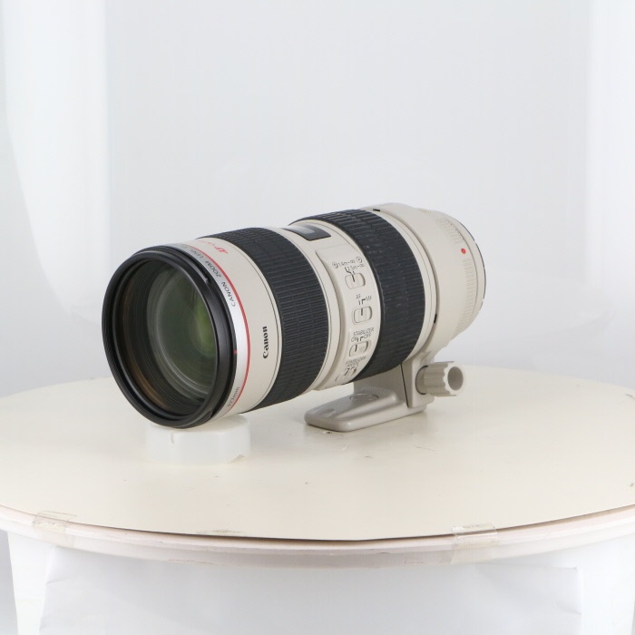 キヤノン EF70-200/2.8L IS USM