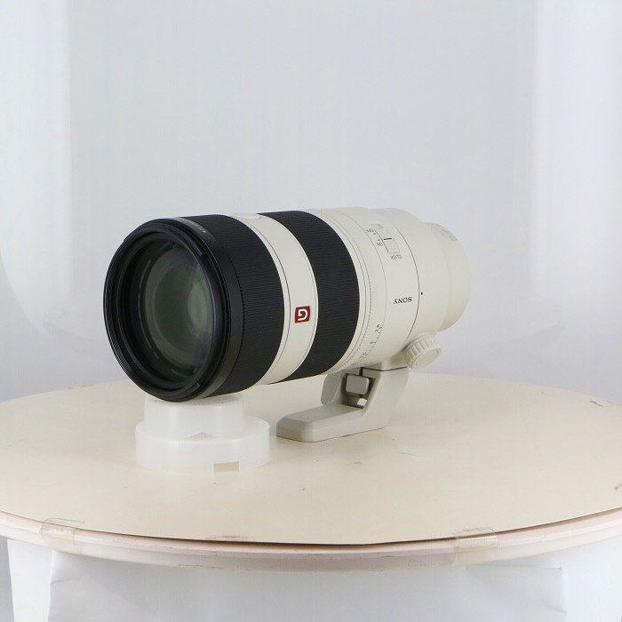 ソニー FE70-200/2.8 GM OSS II