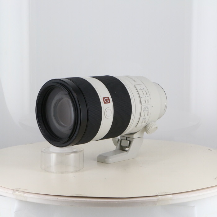 ソニー FE100-400/4.5-5.6 GM OSS