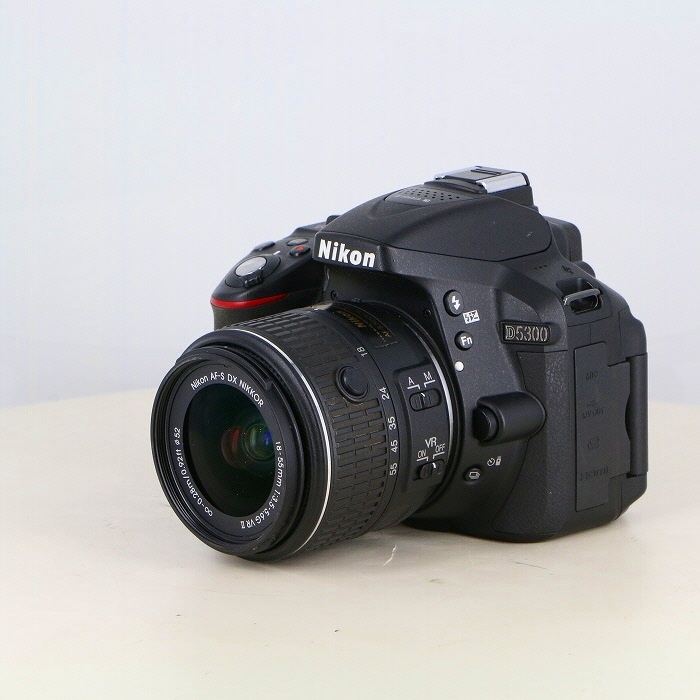 ニコン D5300+18-55VRII