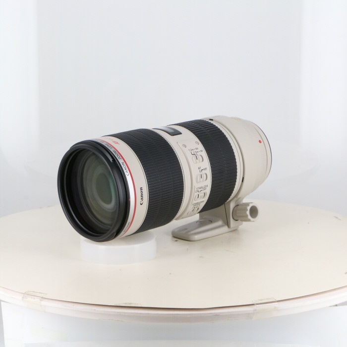 キヤノン EF70-200/2.8L IS II USM