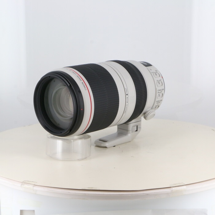 キヤノン EF100-400/4.5-5.6L IS II USM