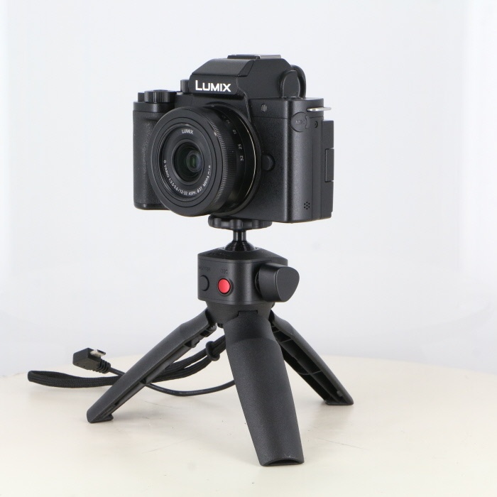 パナソニック DC-G100+12-32+トライポッドグリップ 海外モデル