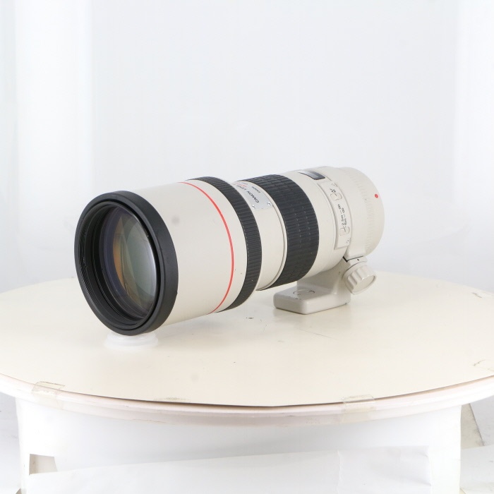 キヤノン EF300/4L USM