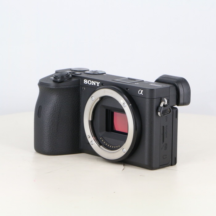 ソニー α6600 (ILCE-6600) ボディ