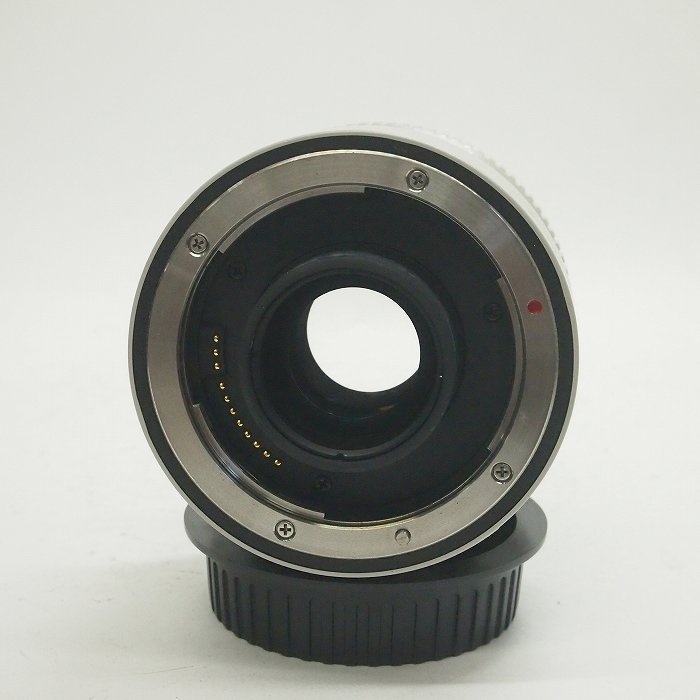 キヤノン エクステンダー EF2X II