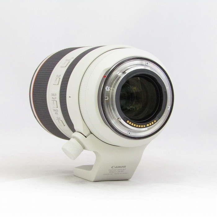 キヤノン RF70-200/2.8L IS USM