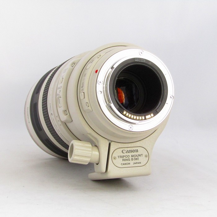 キヤノン EF100-400/4.5-5.6L IS USM