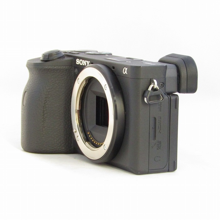 ソニー α6600 ボデイ