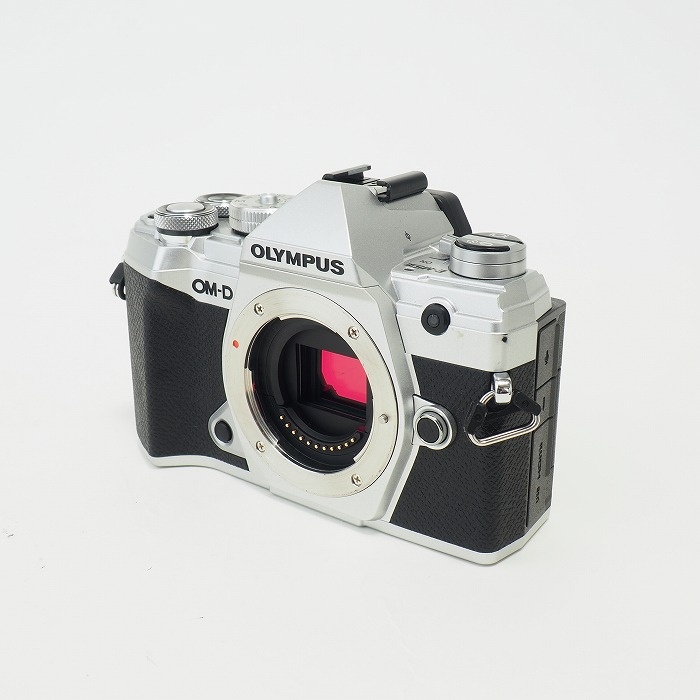 オリンパス OM-D E-M5 MARK3 ボティ シルバー