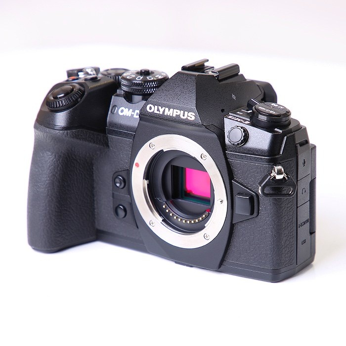 オリンパス OM-D E-M1 MARK2 ボデイ