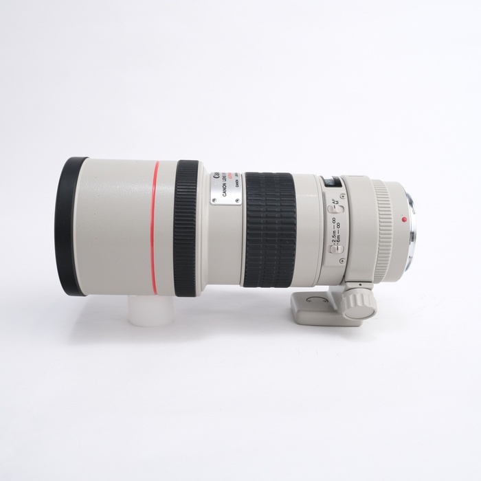 キヤノン EF300/4L USM