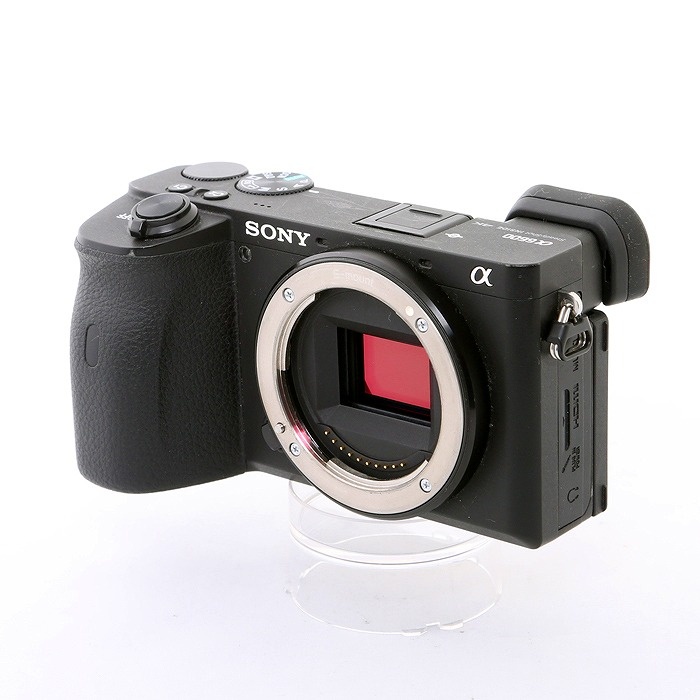 ソニー α-6600（ ILCE-6600）