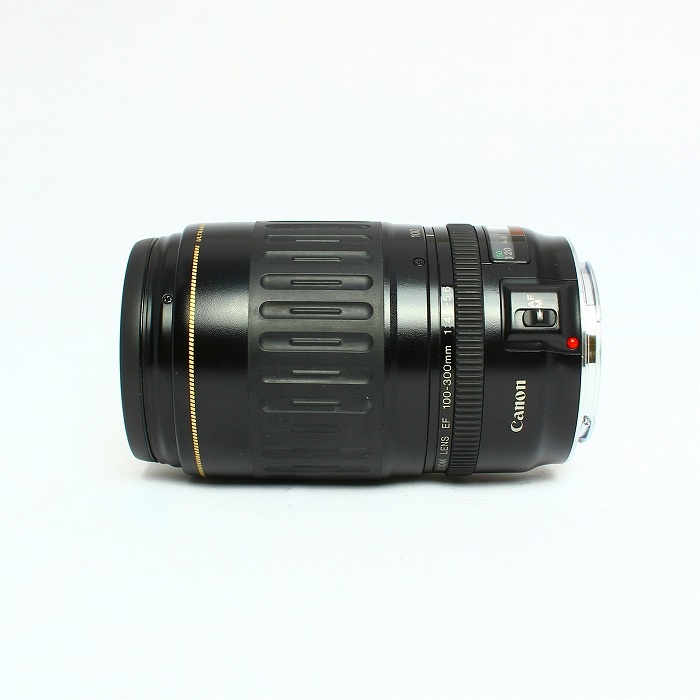 キヤノン EF 100-300/4.5-5.6
