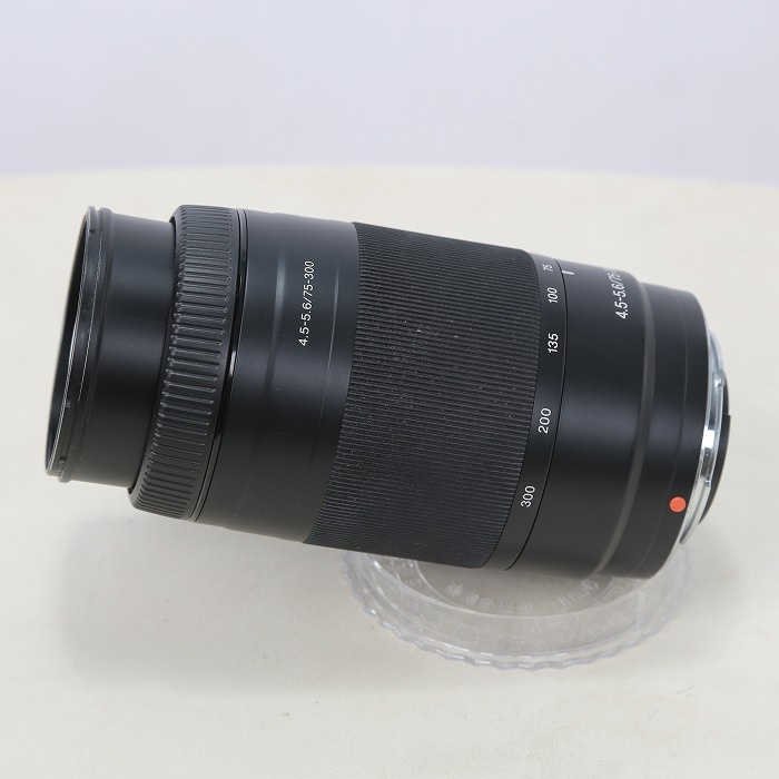 ソニー 75-300/F4.5-5.6