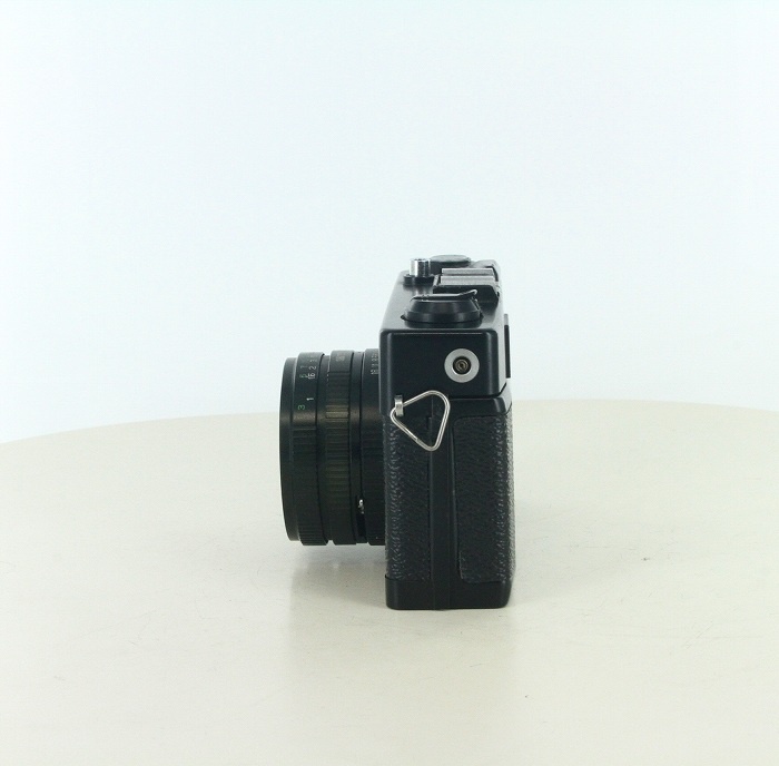 SEAGALL 205A