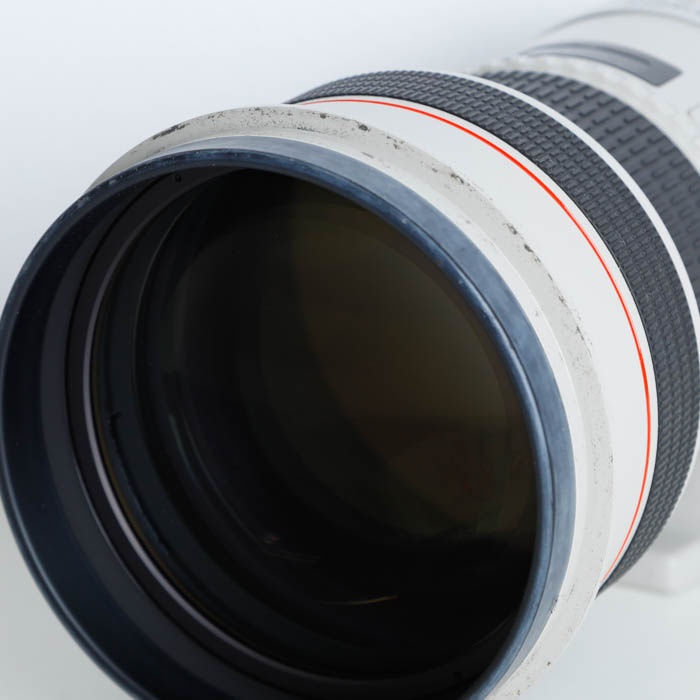 キヤノン EF300/F2.8L IS