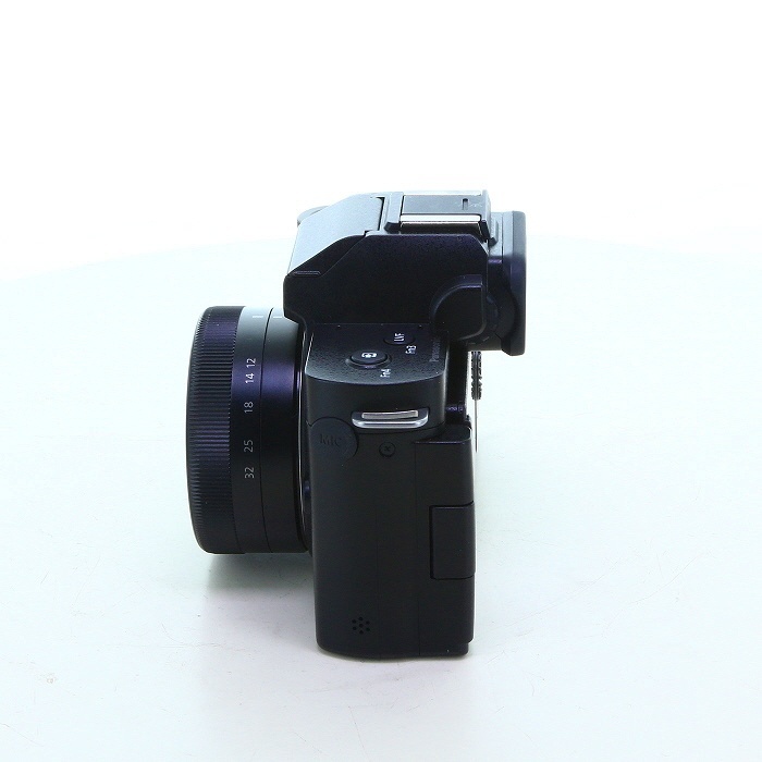パナソニック LUMIX DC-G100DK 標準ズームレンズキット